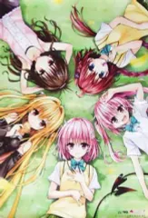 ToLOVEる　B2布ポスター ToLOVEる B2布ポスター ToLOVEる原画展 凱旋 モモ 等身大布