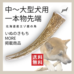 【匿名配送】中〜大型犬用　一本物　先端　北海道産鹿の角　犬のおもちゃ　鹿の骨　E