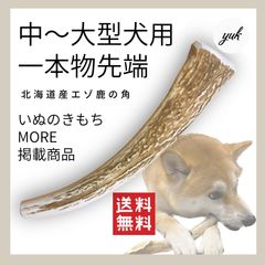 【匿名配送】中〜大型犬用　一本物　先端　北海道産鹿の角　犬のおもちゃ　鹿の骨　Eのサムネイル