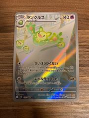 ランクルス　AR