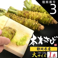 種類3：3本 送料無料 本わさび [約100～120g] 静岡県産 本ワサビ wasabi 薬味 調味料 スパイス 国産 日本産