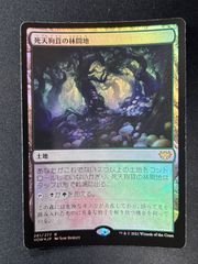 MTG マジックザギャザリング 死天狗茸の林間地