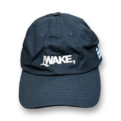 WAKE ALWAYTH コラボ cushion 札幌限定【新品、未使用】 allweatherproof alwayth × wake cap WAKE ALWAYTH コラボ
