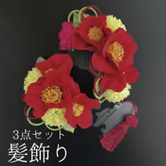 【赤 花 髪飾り 3点セット】 成人式 卒業式 結婚式 振袖 袴 訪問着 着物 和装 浴衣 ゆかた 赤色 白 緑 花飾り コーム式 Uピン式  髪留め 組紐 タッセル HCJA068