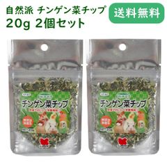 自然派 チンゲン菜チップ 20g 2個セット