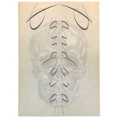 ERIC HAZE Bat Haze Sketch ポスター - メルカリ