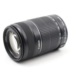 【美品】Canon 望遠ズームレンズ EF-S55-250mm F4-5.6 IS STM APS-C対応 EF-S55-250ISSTM