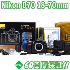 Nikon D70 希少CCDセンサー 本箱 レンズキット #8362