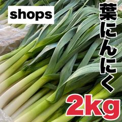 【農家直送】高知県特産‼️葉ニンニク 2kg 即購入OK tn