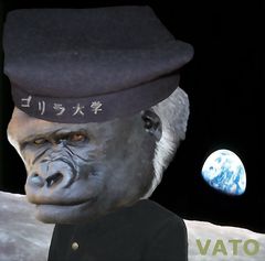 VATO 4th「ゴリラ大学」のサムネイル