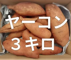 ヤーコン無農薬9.3Kg。