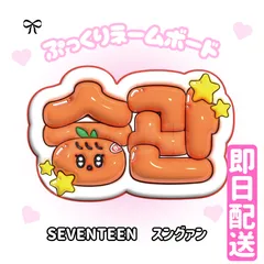 スングァン　うちわ　セット SEVENTEEN スングァン うちわ セット セブチ SEVENTEEN