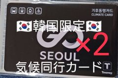 韓国限定 2枚セット 気候同行カード 交通系ICカード　乗り放題 韓国 ソウル