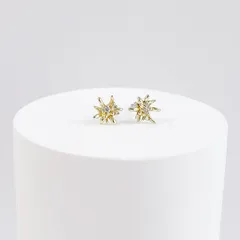 フラワーモチーフ ジルコニア付き 小ぶりピアス【ete586】
