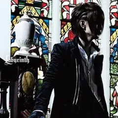 と*わ様 luz CD DVD 17枚　まとめ売り　限定盤複数　歌い手　廃盤 2025年最新】luz Labyrinth CDの人気アイテム - メルカリ
