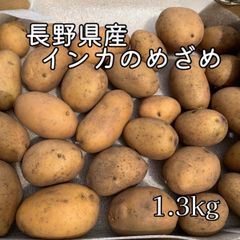 熊本県産 メークイン 秀 11kg 無農薬栽培　じゃがいも 熊本県産 メークイン 11kg 無農薬栽培 - メルカリ