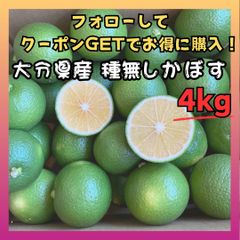 市原かぼす園「かぼす4kg(種無し)」種無しかぼす/大分県佐伯市特産品/ご家庭/贈答品にも/送料無料