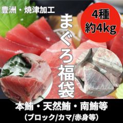 まぐろ福袋　4種約4kg詰合せ（天然鮪/メバチ鮪/本鮪/南鮪等々・赤身/中トロ・カマ・血合肉等々）送料無料　冷凍