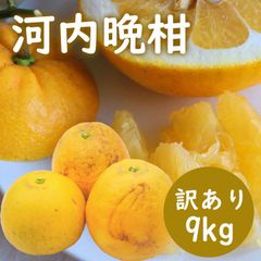 河内晩柑 訳あり 9kg 晩柑 ご家庭用 箱買い 柑橘 みかん フルーツ 果物 産地直送 愛媛県産 母の日 父の日 プレゼント