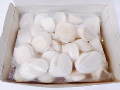 北海道産　帆立貝柱 　厚みのある極上のホタテ
