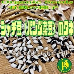 シャチ豆（パンダ菜豆・固定種）のタネ　30粒　無農薬無化学肥料栽培のタネ