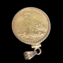 2025年最新】金貨 インディアン 5ドルの人気アイテム - メルカリ 2025年最新】金貨 インディアン 5ドルの人気アイテム - メルカリ