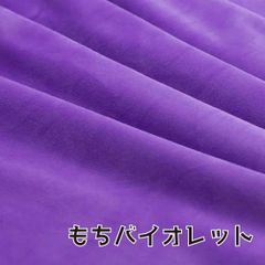 ぬい活　おもちボア　もちバイオレット　ストレッチボア
