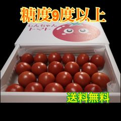 フルーツトマト 糖度9度以上(光センサー糖度計使用) 約800g 高知県土佐市