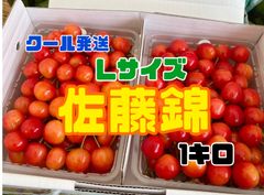 205 予約販売　北海道産　さくらんぼ　佐藤錦　Lサイズ　約1キロ