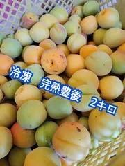 8/4限定価格！！　青森県産　冷凍　豊後梅　箱込み2キロ