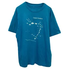 半袖 プリントTシャツ L～ ブルー ホワイト プルオーバー 90's 90年代 カットソー 薄手 古着卸 アメリカ仕入 a705-6073