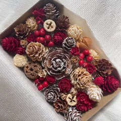 ドライフラワー　ドライナッツ  木の実詰め合わせ セットˎˊ˗  レッド　ホワイト　 ブラウン　クリスマスレッド　クリスマス　クリスマスミックス　ナチュラルクリスマス No.108