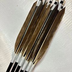 GF1813黒シャフト　磯手羽　6矢　近的矢 近的矢 6矢 - | ブラック送料無料 １９１３