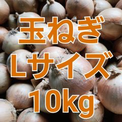 北海道産玉ねぎLサイズ【10キロ】