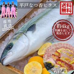 青空レストランで紹介！平戸なつ香ヒラス4kg 送料無料