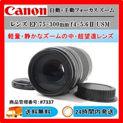 2024年最新】Canon 望遠ズームレンズ EF70-300mm F4-5.6L IS USMの人気