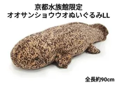 2024年最新】京都水族館 オオサンショウウオの人気アイテム - メルカリ