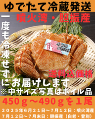 ゆでたて冷蔵便ボイル毛ガニ　1尾　450ｇ～490ｇ活時計量