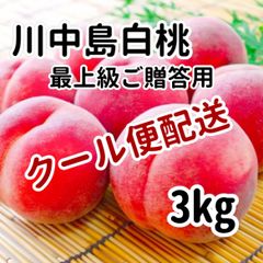 【クール便配送】信州産　川中島白桃　３ｋｇ（８玉前後）　最上級　ご贈答用
