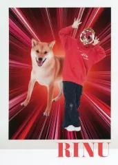 【中古】キャラカード 莉犬(すとろべりーぷりんす)/No.7 Dog Mood コロコロSPギャグポーズ 生写真カード 「私立すとぷり小学校」 コロコロコミック 2025年5月号 付録