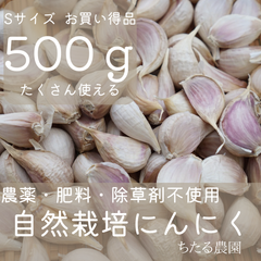 自然栽培（農薬肥料除草剤等不使用）にんにくバラ片 Sサイズ 500g お買い得品