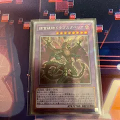 遊戯王 捕食植物ドラゴスタペリア エクストラシークレットのサムネイル