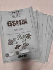 💖大人気中学受験SAPIX サピックス小6国語GS特訓１～６解答付！