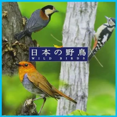 2024年最新】日本の野鳥の人気アイテム - メルカリ