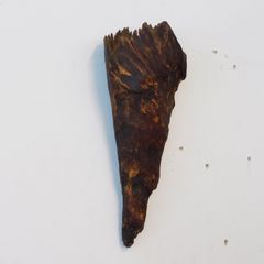 r*l様 博物館級 最恐 古代クジラ リヴィアタンメルビレイ 歯 化石 鉱物