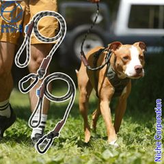 Item thumbnail for item f214974c-4f9c-482a-99fa-a6a980ca423b