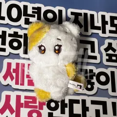 SEVENTEEN(セブンティーン・セブチ) スングァン(SEUNGKWAN) 非公式 人形 ぬいぐるみ ぬい プチキャット