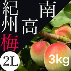 青梅【2L・3kg】南高梅　クール便