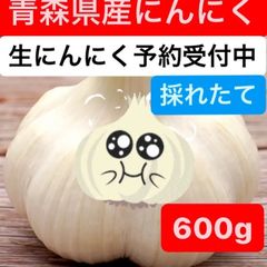 青森県産生にんにく　期間限定予約 600g 6月中旬頃発送