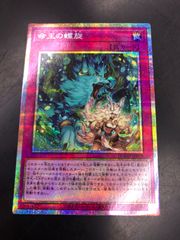 フュージョンワールド　ブロリーBR　プロモ　4枚セット ドラゴンボールフュージョンワールド ブロリー:BR プロモ 4枚